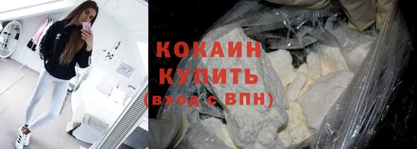 mdpv Краснослободск