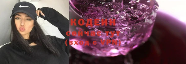 трава Коряжма