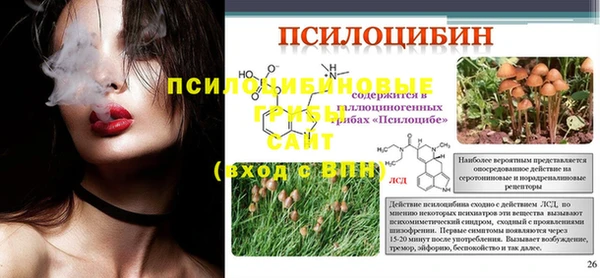 mdpv Краснотурьинск