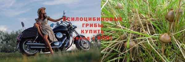 mdpv Краснотурьинск