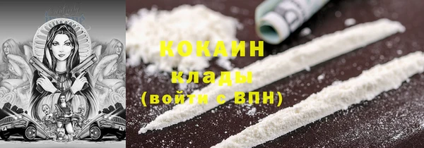 mdpv Краснослободск