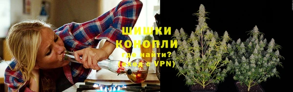 трава Коряжма